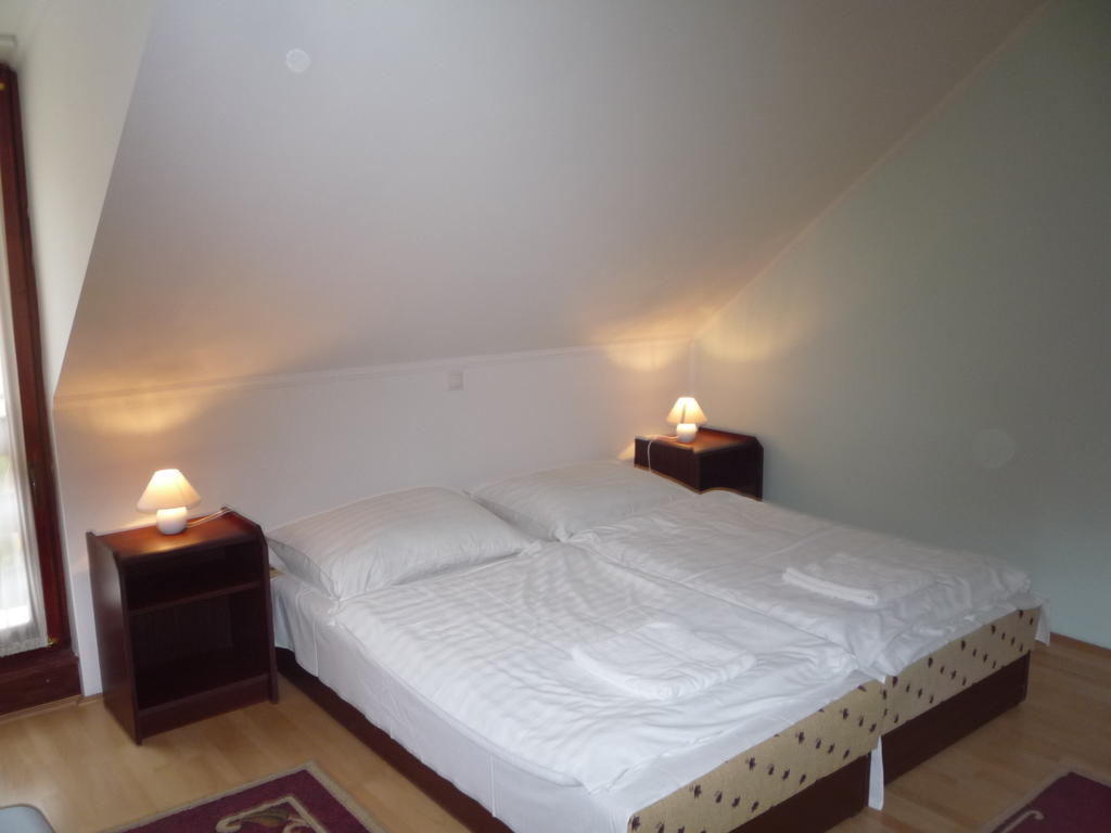 ホテル Aba Vezer Vendeghaz Abaújszántó 部屋 写真